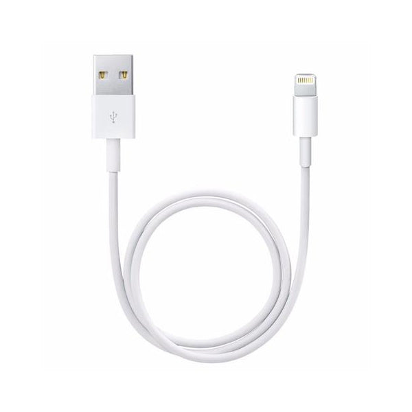 iPhone Charger Leads